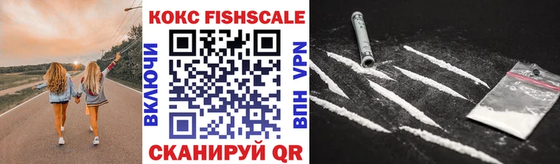 Купить закладки  Партизанск  Cocaine VHQ 