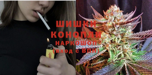 молекула духа Гусев
