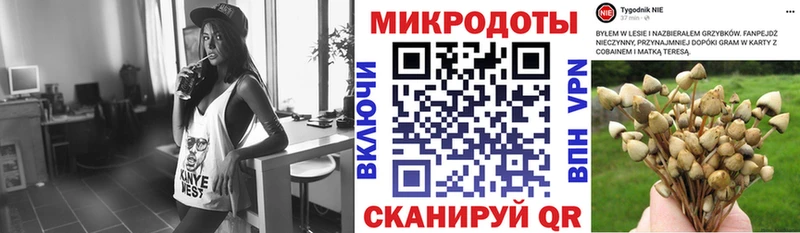 Купить  Партизанск  Псилоцибиновые грибы прущие грибы 